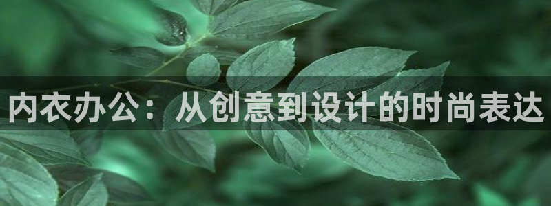 动漫岛