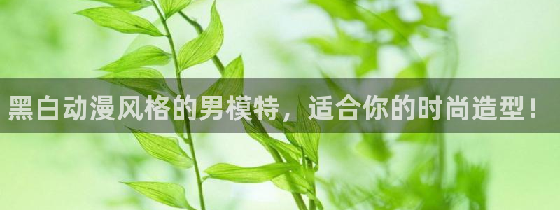 漫岛动漫岛