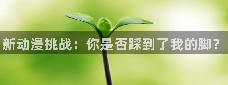 动漫岛官网入口