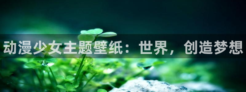动漫岛网址
